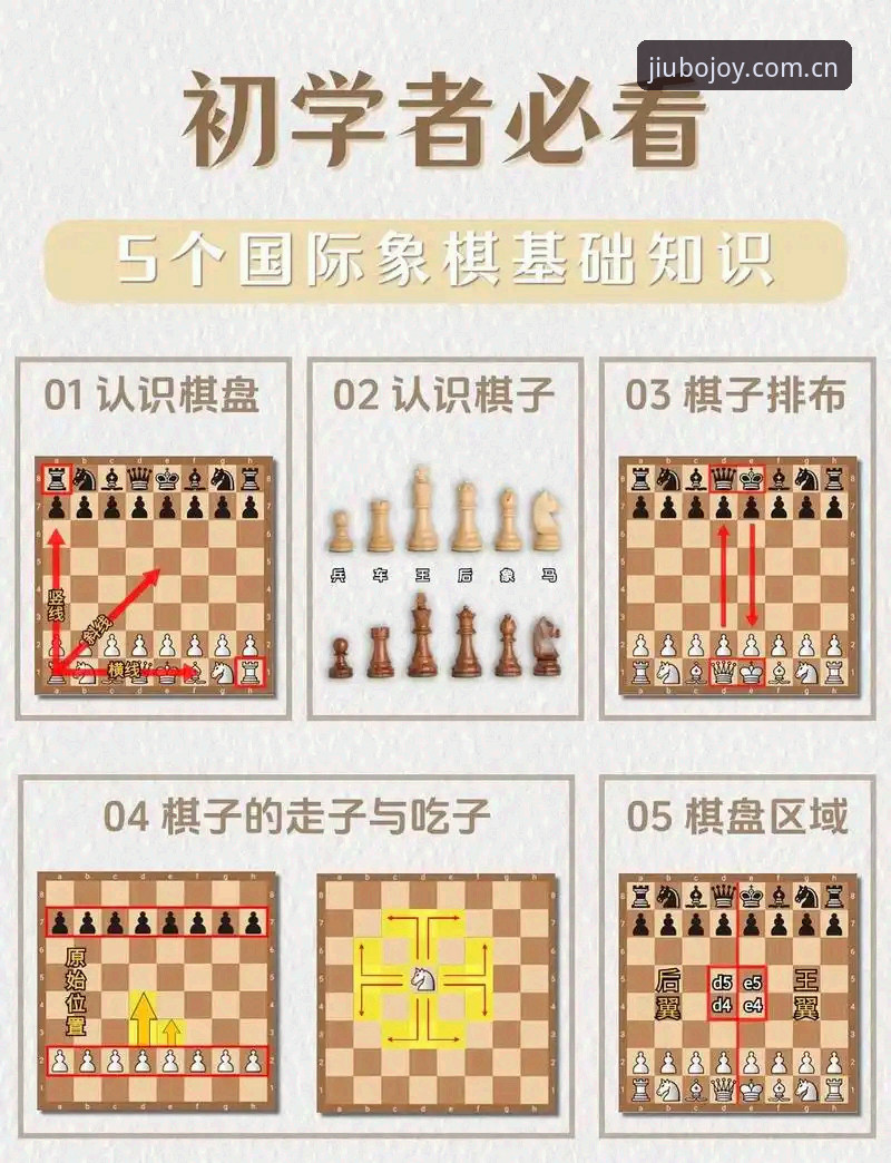 九博国际新玩法入门教程：从新手到高手的完整操作指南